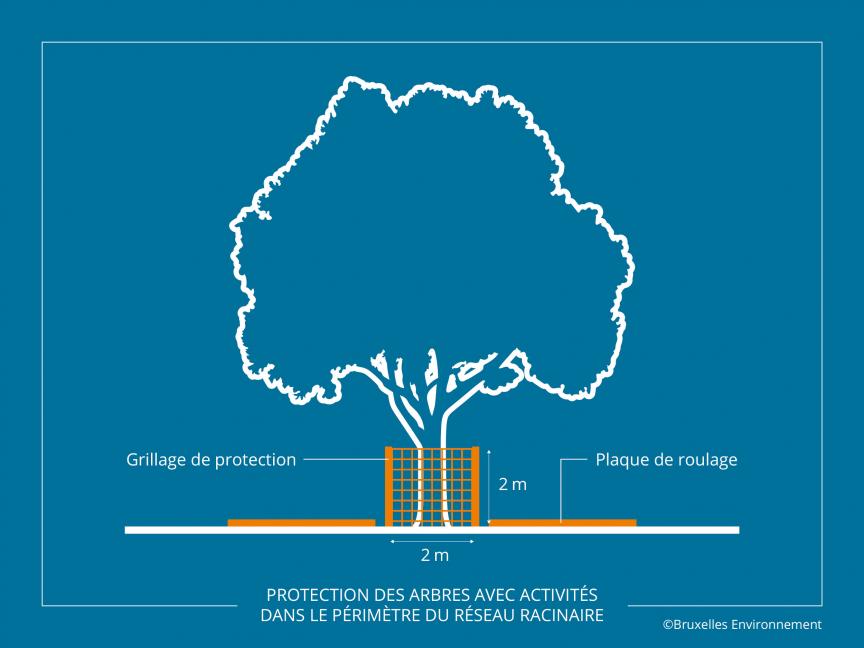 Protection des arbres avec activités dans le périmètre du réseau racinaire