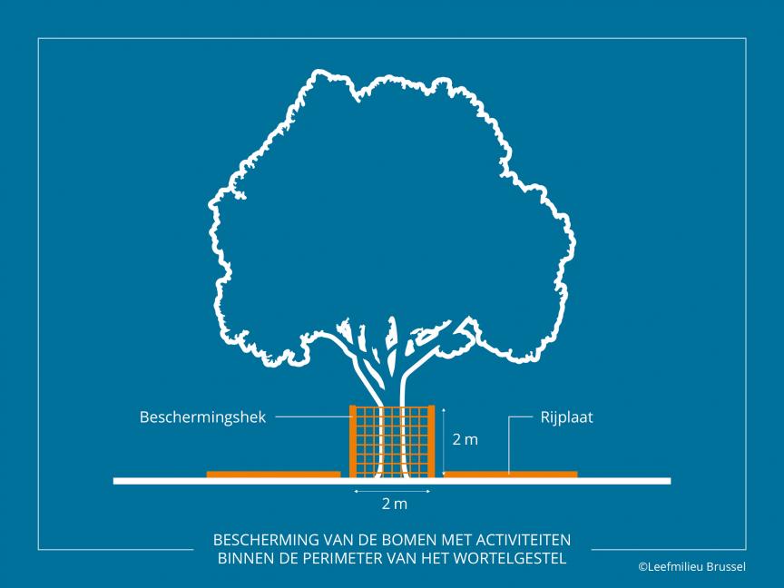 Bescherming van de bomen met activiteiten binnen de perimeter van het wortelgestel