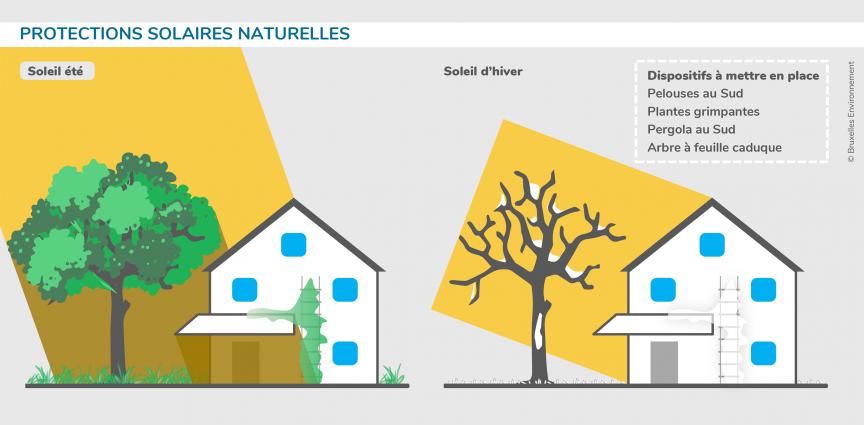 Protections solaires naturelles