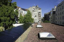 Installations photovoltaïques surimposées et toiture verte