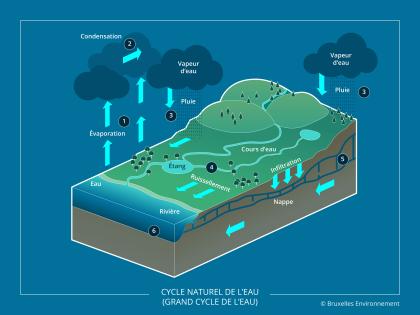 Cycle naturel de l'eau (grand cycle de l'eau)