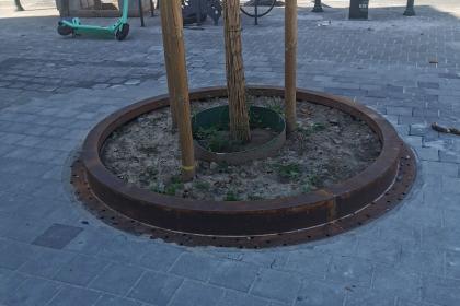 Revêtement de sol et arbre installé